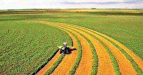 راهکار‌ افزایش تولید سه میلیون تن محصولات کشاورزی بررسی شد