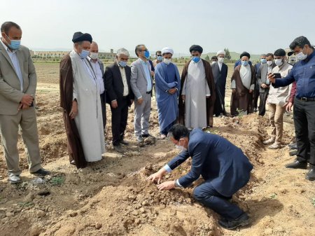 سه هکتار از زمین‌های بلااستفاده دانشگاه آزاد اسلامی واحد دهدشت زیر کشت گل و گیاه دارویی رفت