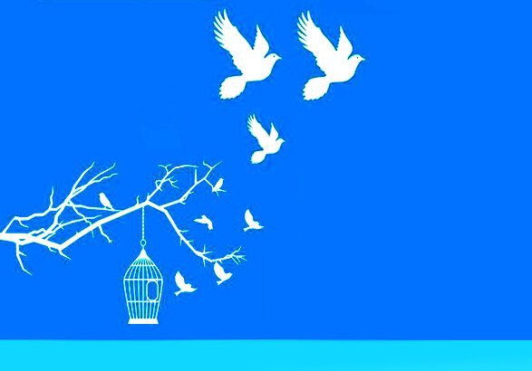 آزادی زندانی با جرم غیرعمد توسط دانشگاهیان دانشگاه آزاد ورامین-پیشوا