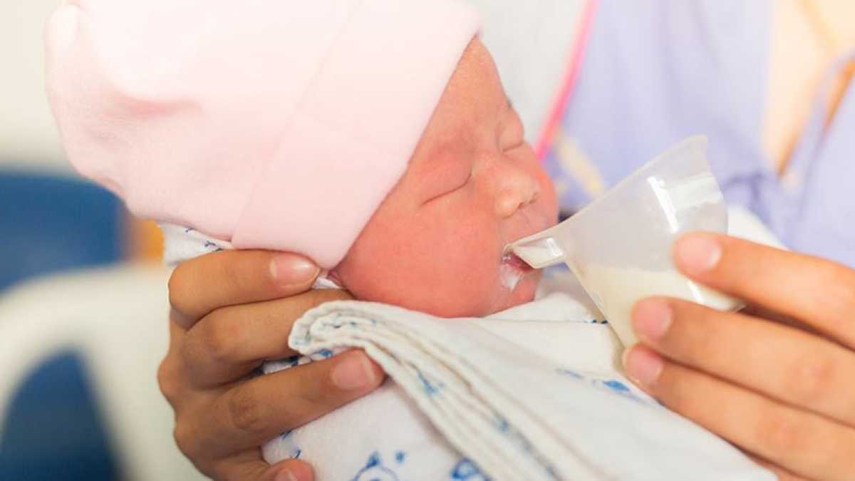 نوزاد شیرخشک شیرخواره کودک
