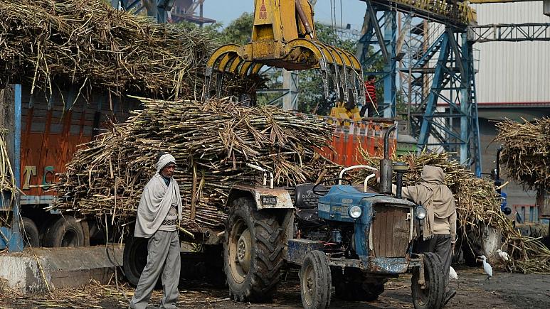 هند تولید شکر