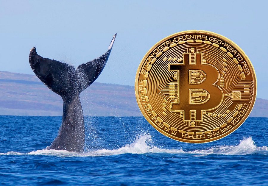 ۲ میلیارد دلار؛ ارزش دارایی بیت‌کوین ثروتمندترین نهنگ