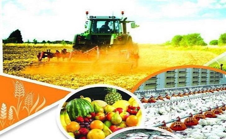 صادرات-محصولات-کشاورزی.jpg