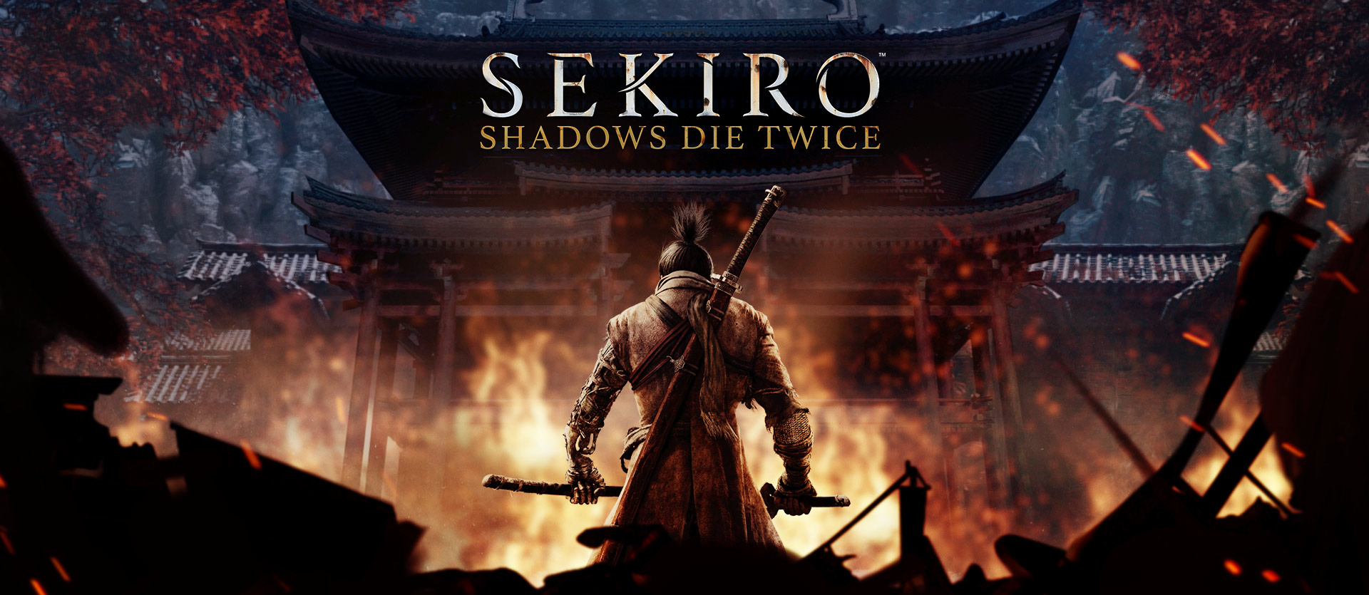 Sekiro_-Shadows_Die_Twice.jpg