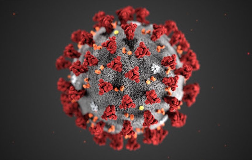 coronavirus-4.jpg