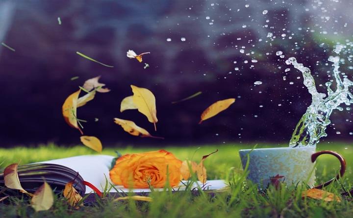 reading-romantic-books-in-autumn.jpg
