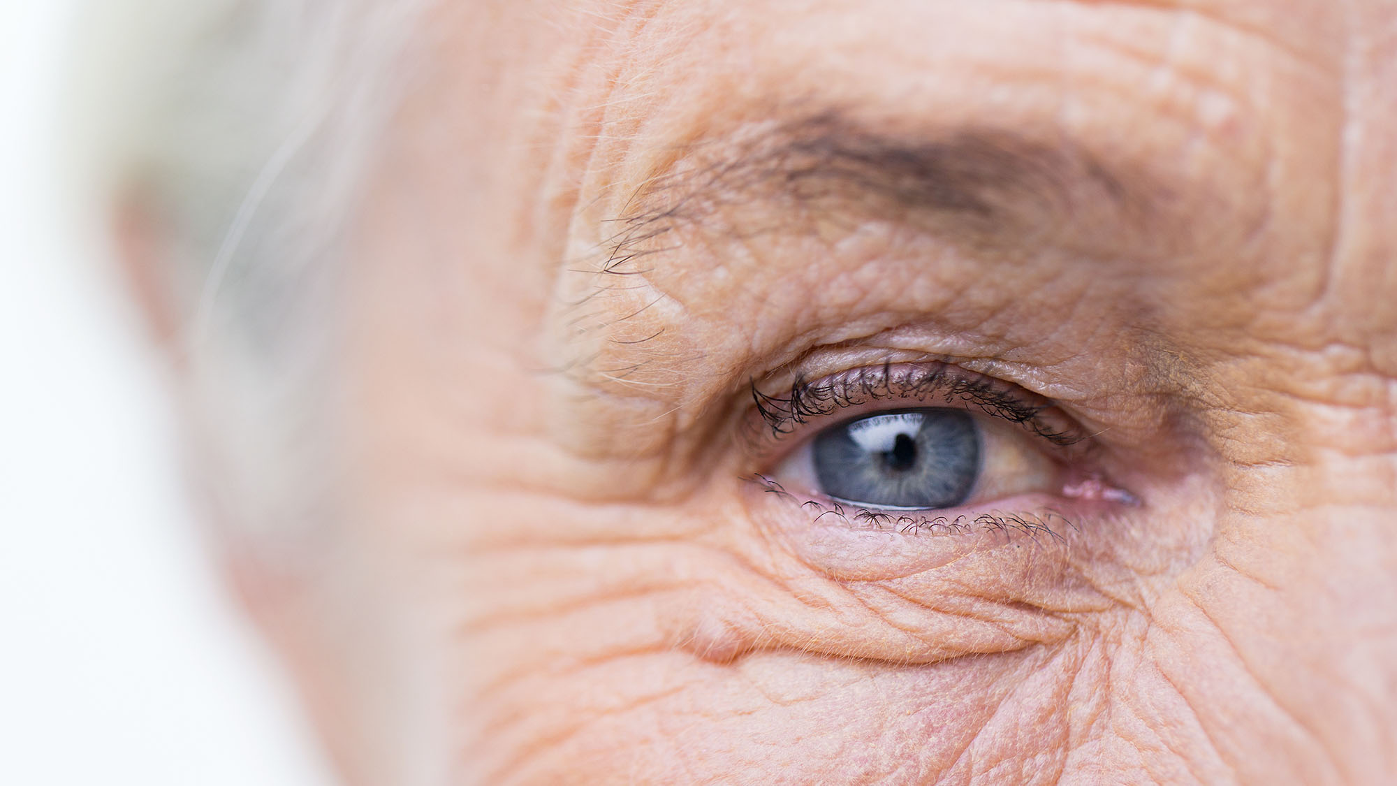 close-up-senior-eyes.jpg
