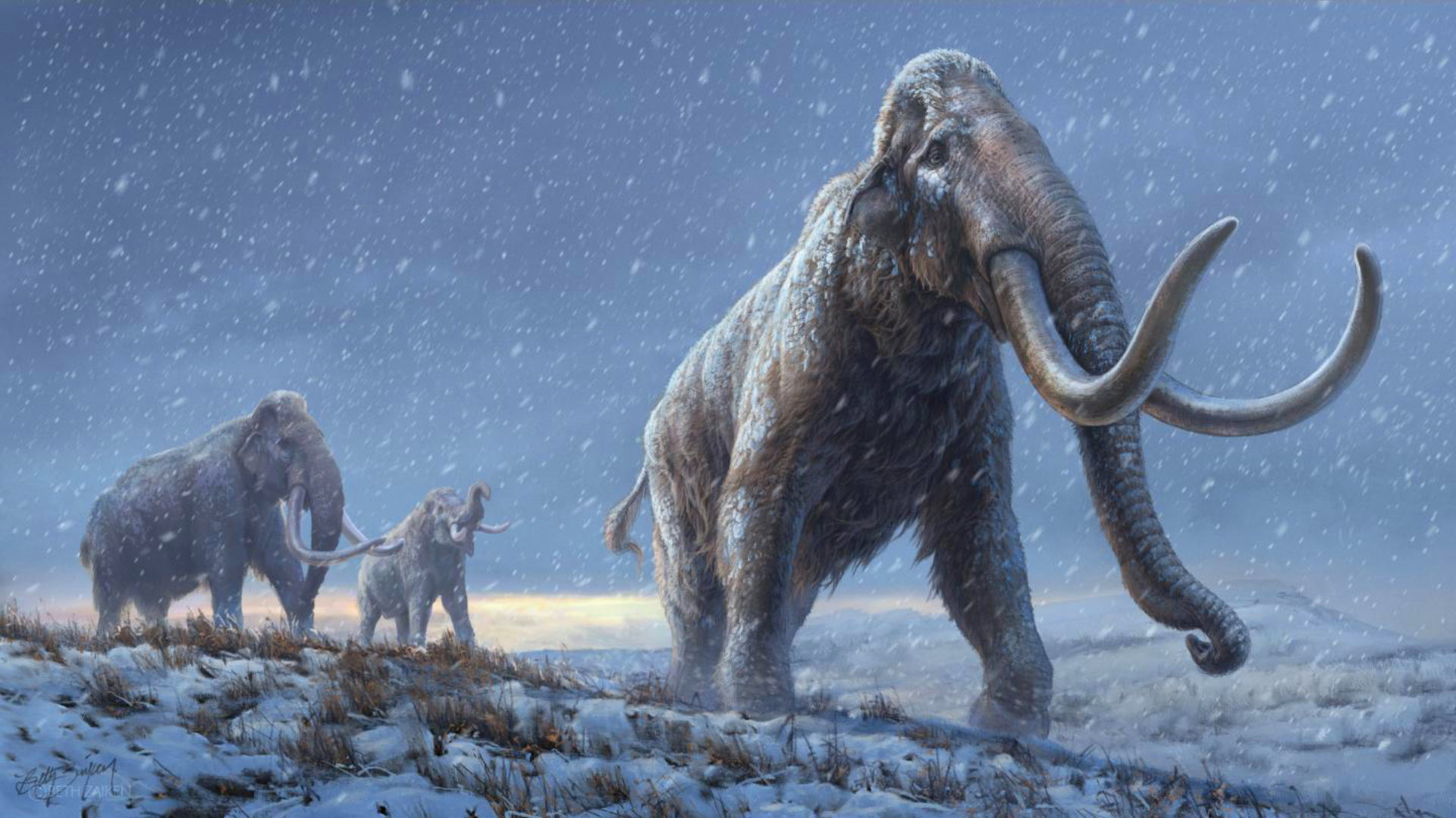 image_9365_1e-Steppe-Mammoths.jpg