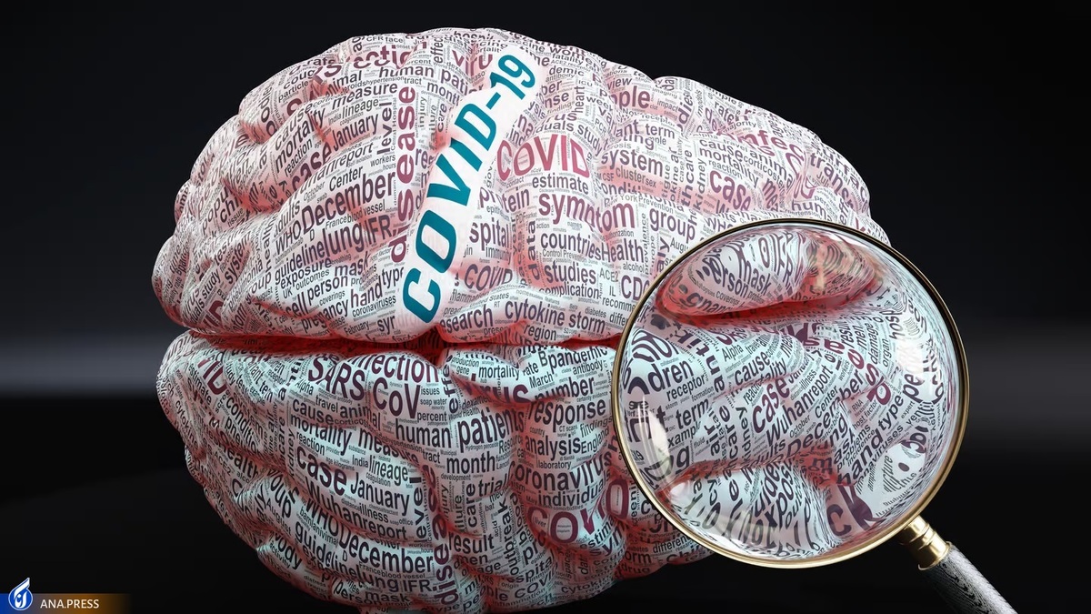 ویروس «کووید ۱۹» در مغز پیدا شد