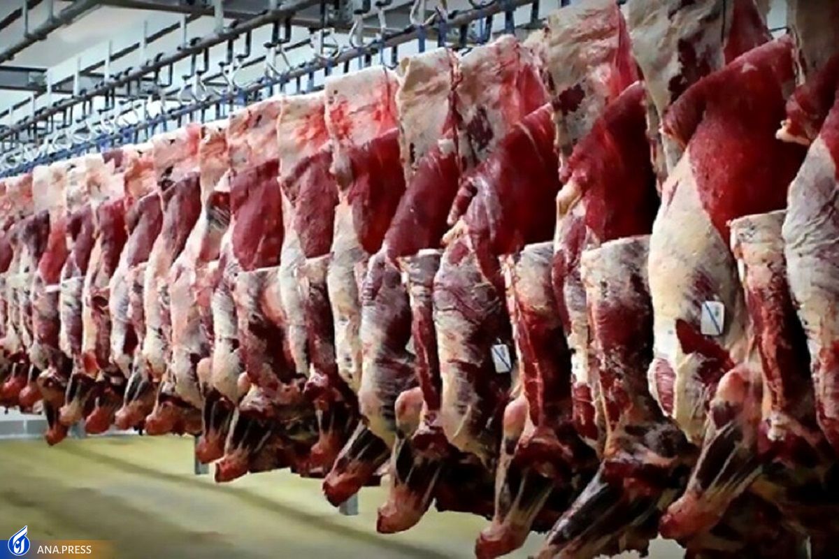 منتظر گوشت گرم گوسفندی ۲۰۰ هزار تومانی باشید