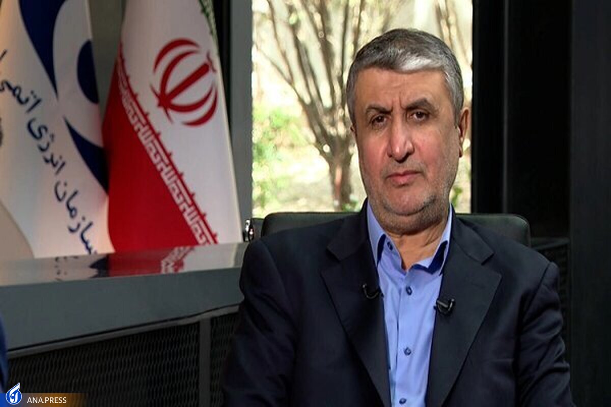 هماهنگی سفر مقامات آژانس به ایران بعد از تعطیلات ژانویه