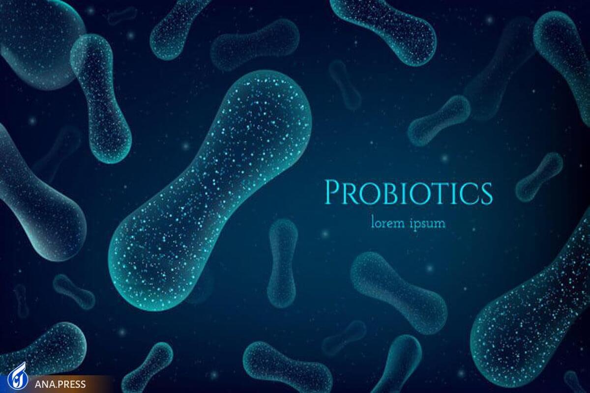 فواید باکتری‌های پروبیوتیک چیست و در چه موادی موجود هستند؟