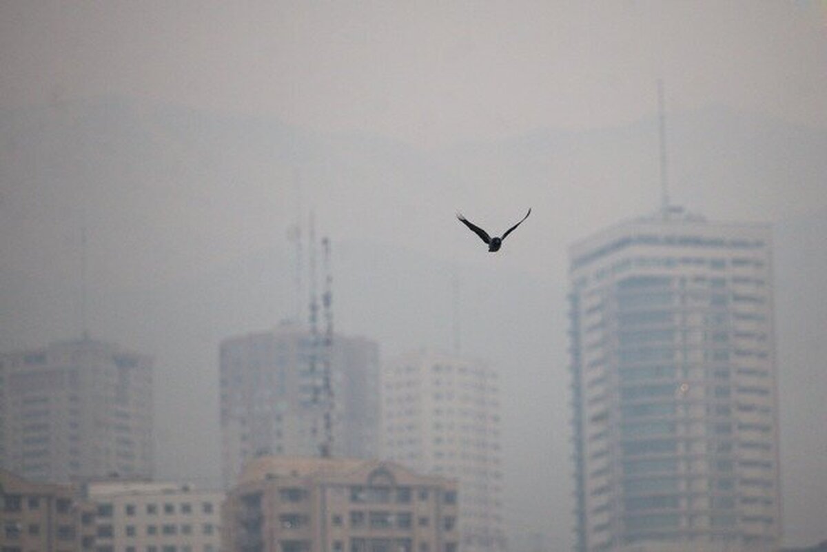 احتمال تشدید آلودگی هوای پایتخت تا حد «بسیار ناسالم» 