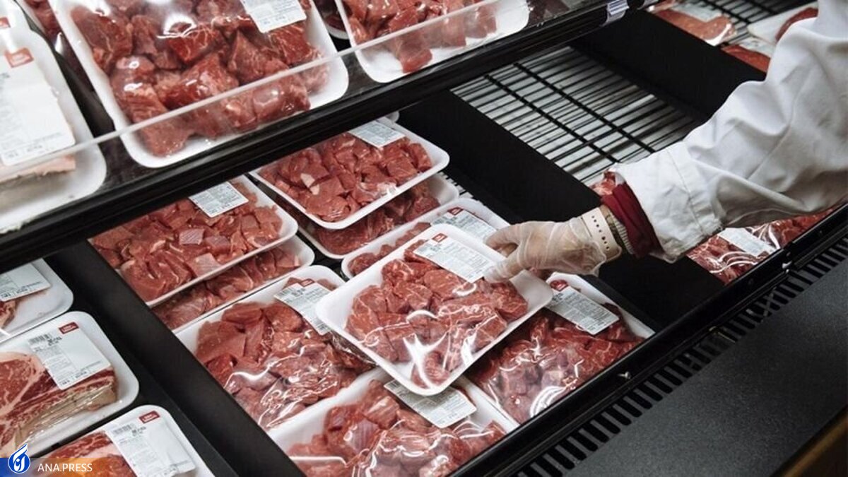 آغاز عرضه گوشت‌های بسته‌بندی وارداتی در میادین تره‌بار