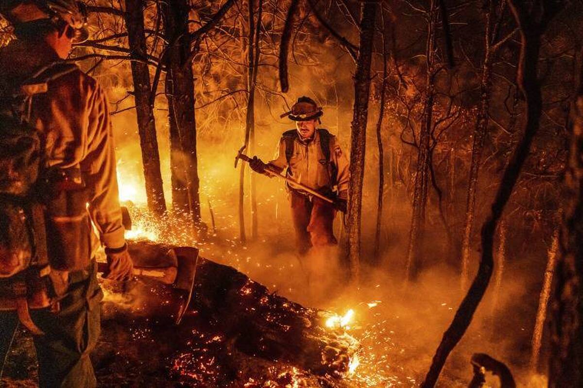 ایالات متحده ۴۹۰ میلیون دلار بودجه برای پیشگیری از آتش‌سوزی‌های جنگلی اختصاص داد