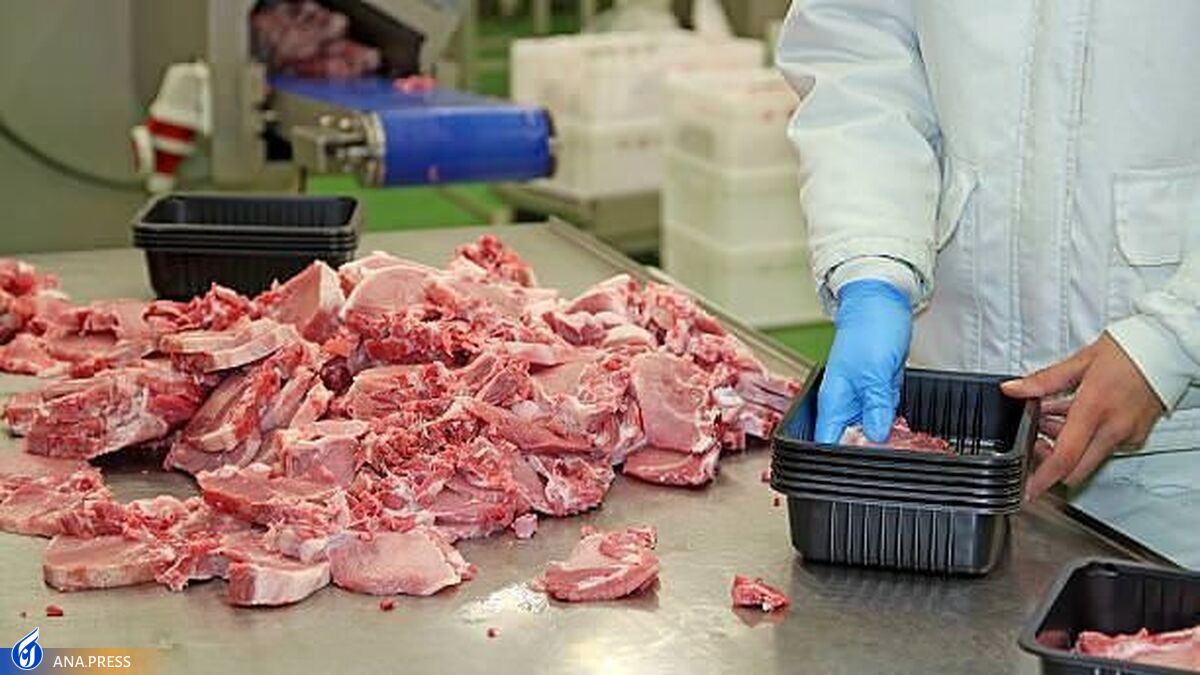 جزئیات ماجرای گوشت ۵۰۹ هزار تومانی