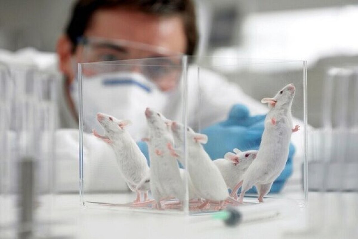 دانشجویان مهارت و آموزش کار با حیوانات آزمایشگاهی را می‌آموزند