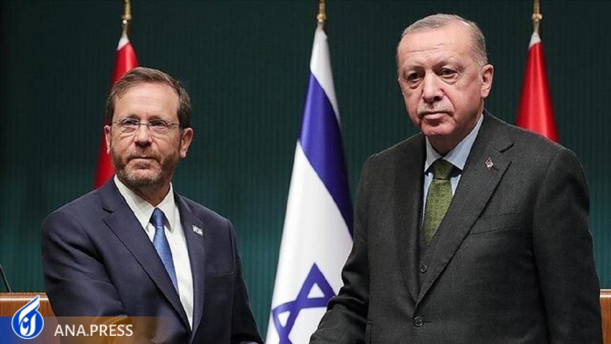 ترکیه: در حال مذاکره با اسرائیل برای انتقال گاز به اروپا هستیم