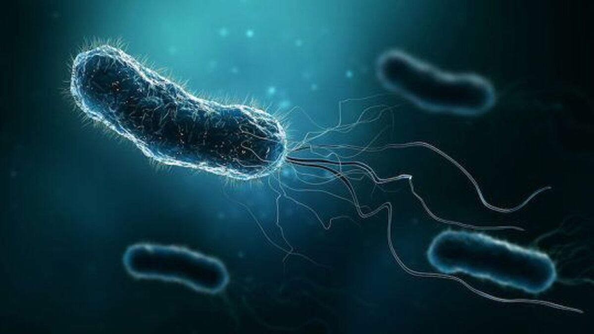 راز چگونگی حرکت باکتری‌ها توسط محققان کشف شد
