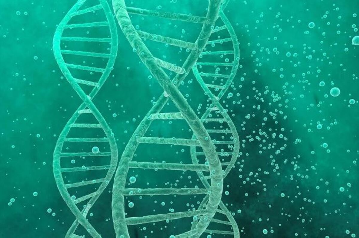 استفاده از DNA برای تبدیل دی اکسید کربن به محصولات با ارزش