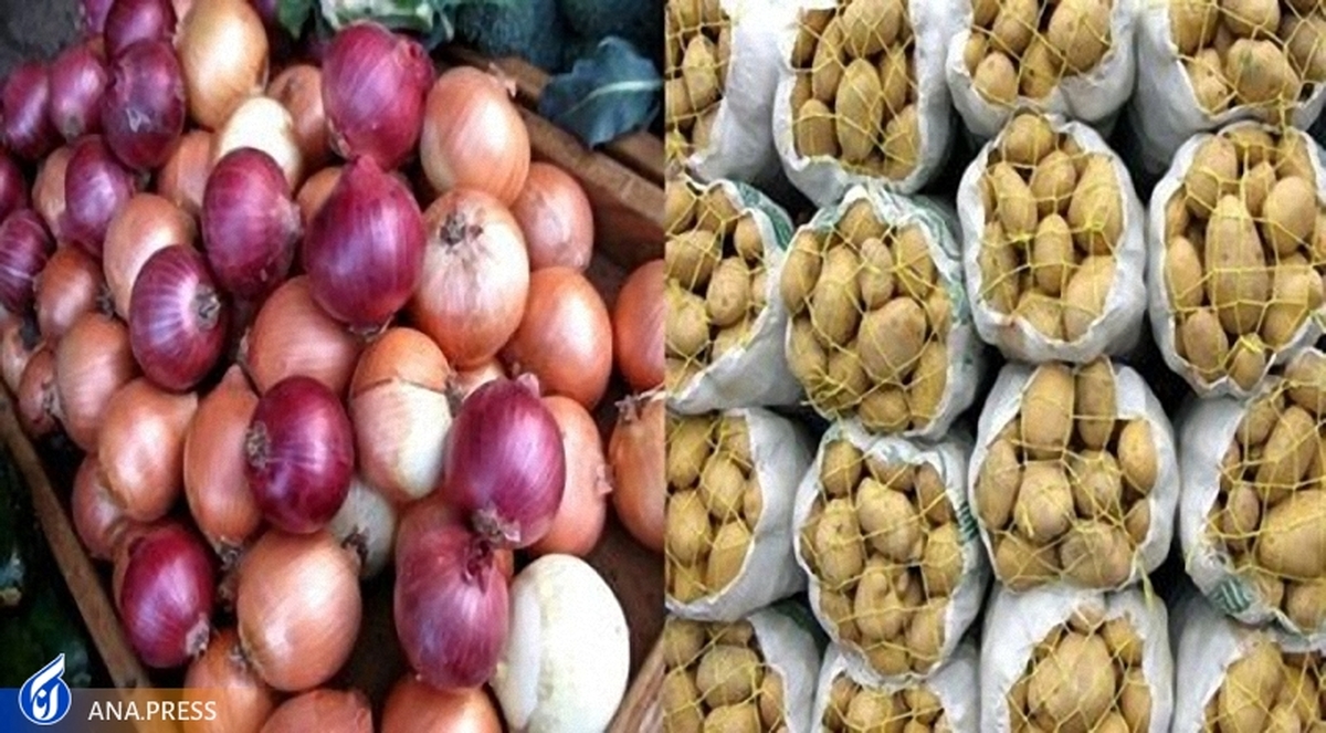 عوارض صادرات سیب‌زمینی و پیاز مجددا کاهش یافت