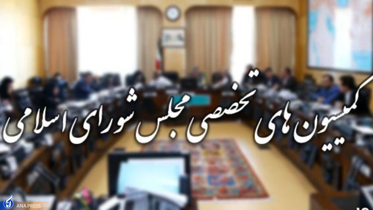 حضور ۵ وزیر کابینه سیزدهم در کمیسیون‌های مجلس