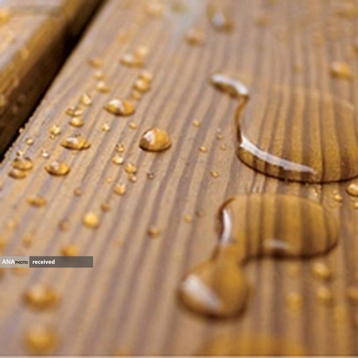 افزایش مقاومت سازه‌های چوبی و آبگریز به کمک فناوری نانو