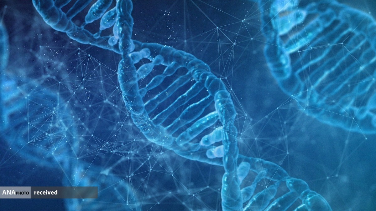 پیش‌بینی پاسخ‌های ایمنی بدن به نانوذرات DNA با کمک هوش مصنوعی