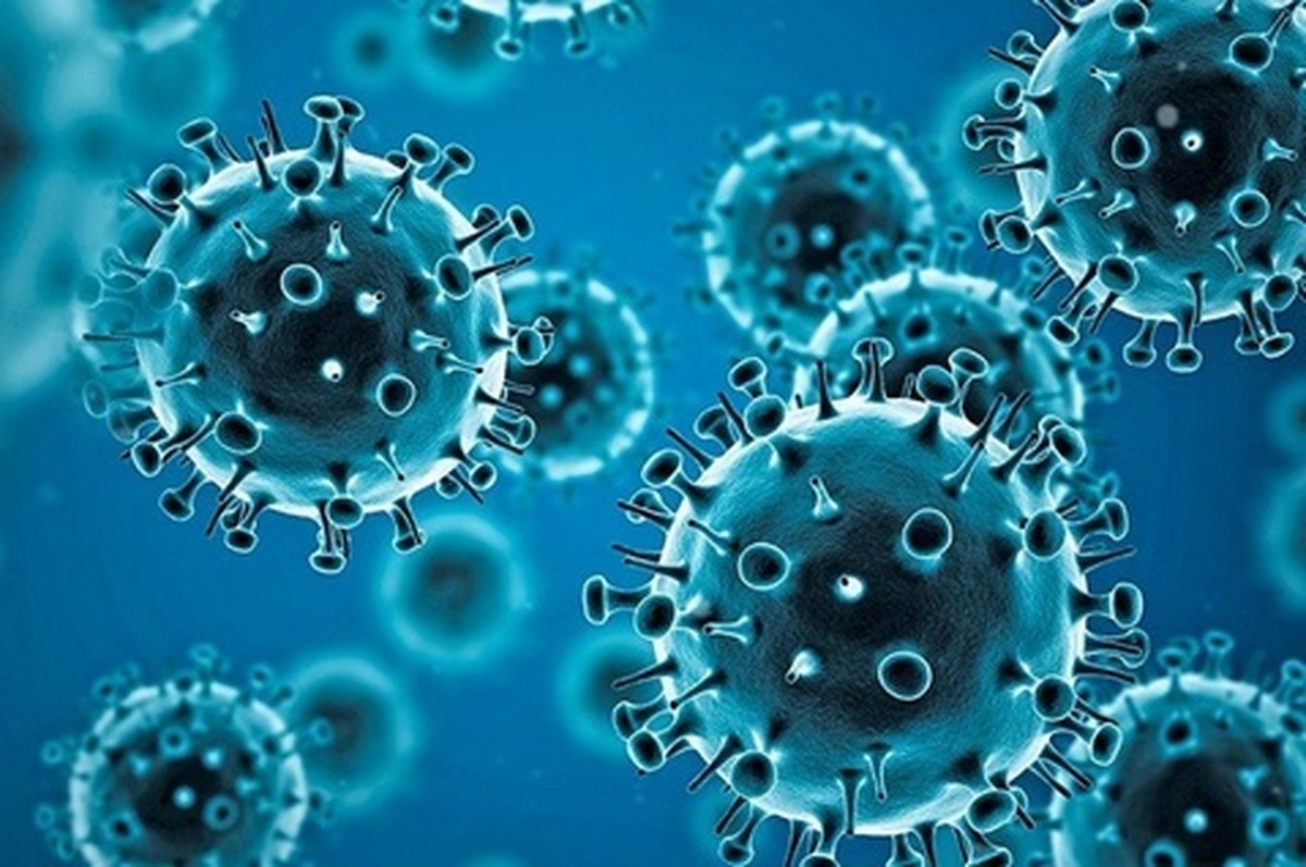 از بین بردن ویروس‌ها به لطف فناوری ویرایش ژنی