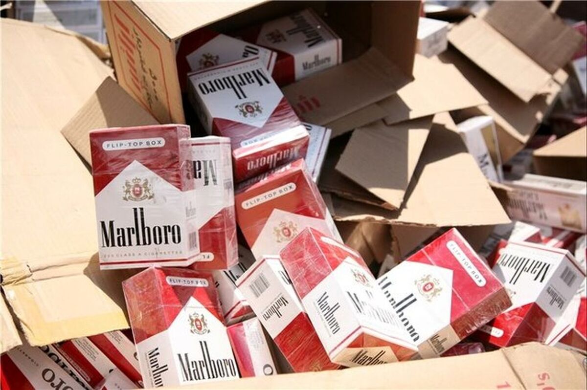 کشف ۹۲۰ هزار نخ سیگار قاچاق در تهران