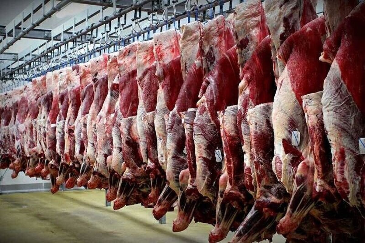 گوشت منجمد وارداتی با قیمت ۲۸۵ هزار تومان توزیع می‌شود