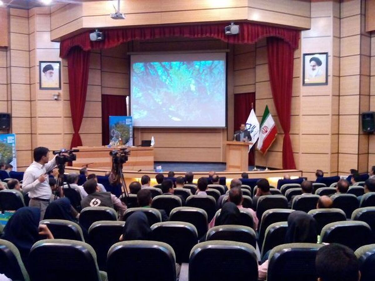 در ایران به فرهنگ سازی و درخت‌داری نیاز داریم، نه درخت‌کاری