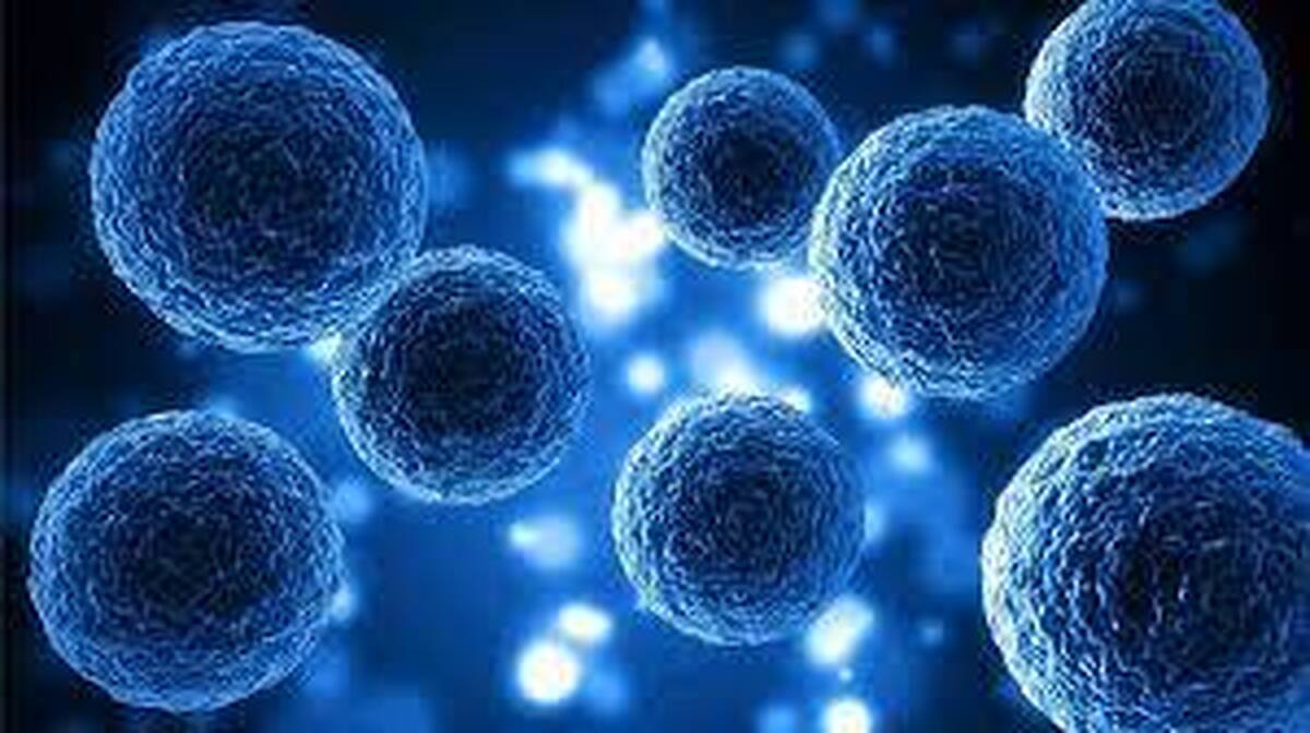 درمان بیماری‌های ژنتیکی با نانوذرات لیپیدی جدید