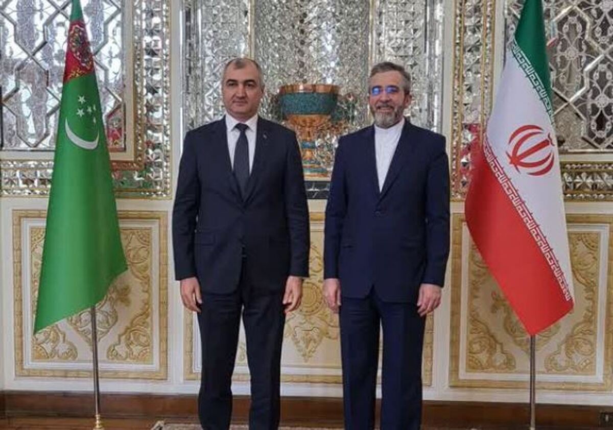 دیدار معاون وزیر خارجه ترکمنستان با علی باقری