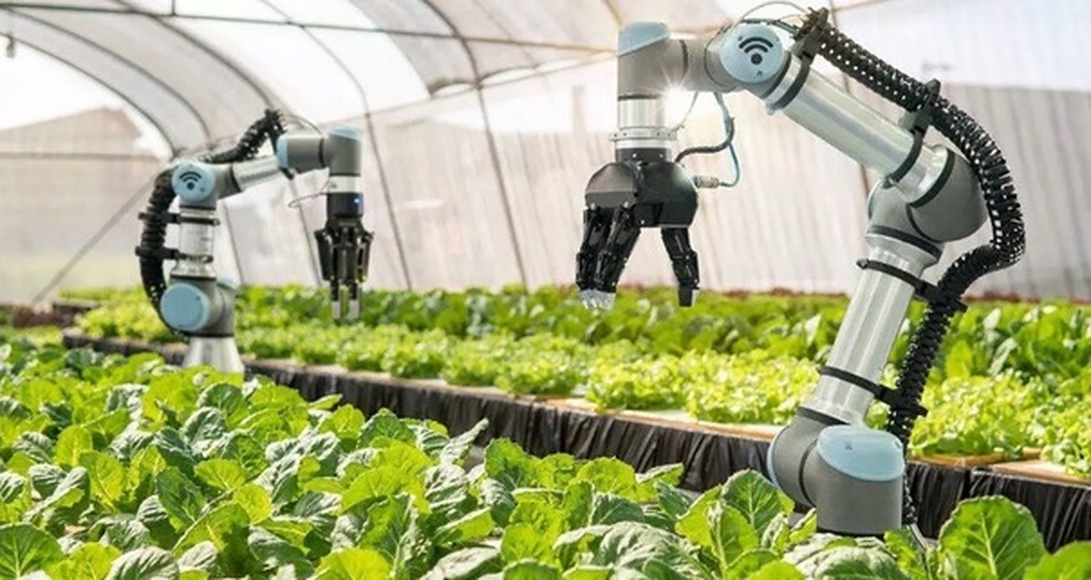 ربات کشاورز طراحی شد/ مؤثر در کاهش مصرف آب و افزایش کیفیت محصول