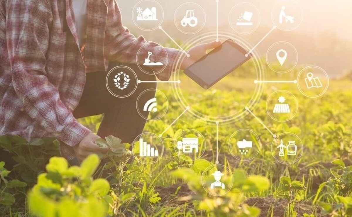 جذب استارت‌آپ‌ها به حوزه کشاورزی دیجیتال با سرمایه‌گذاری مناسب