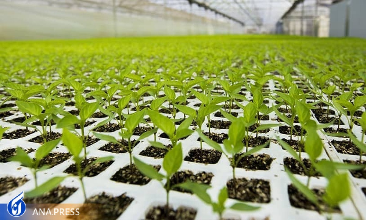 تولید فرآورده‌های بیولوژیک مخصوص گیاهان و دام توسط یک شرکت دانش‌بنیان
