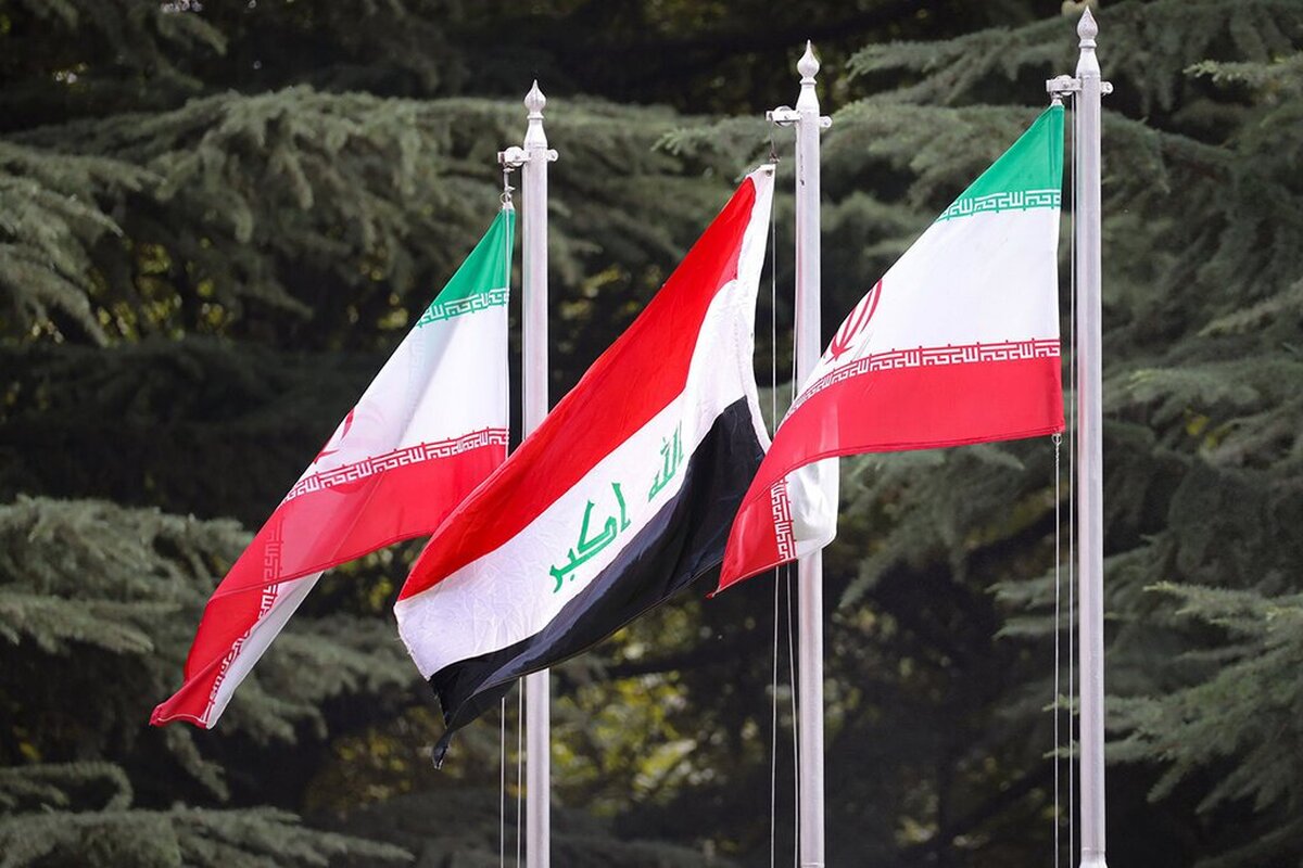 توسعه «دیپلماسی علمی» راهگشای ارتقای تعاملات دانشگاهی ایران-عراق است