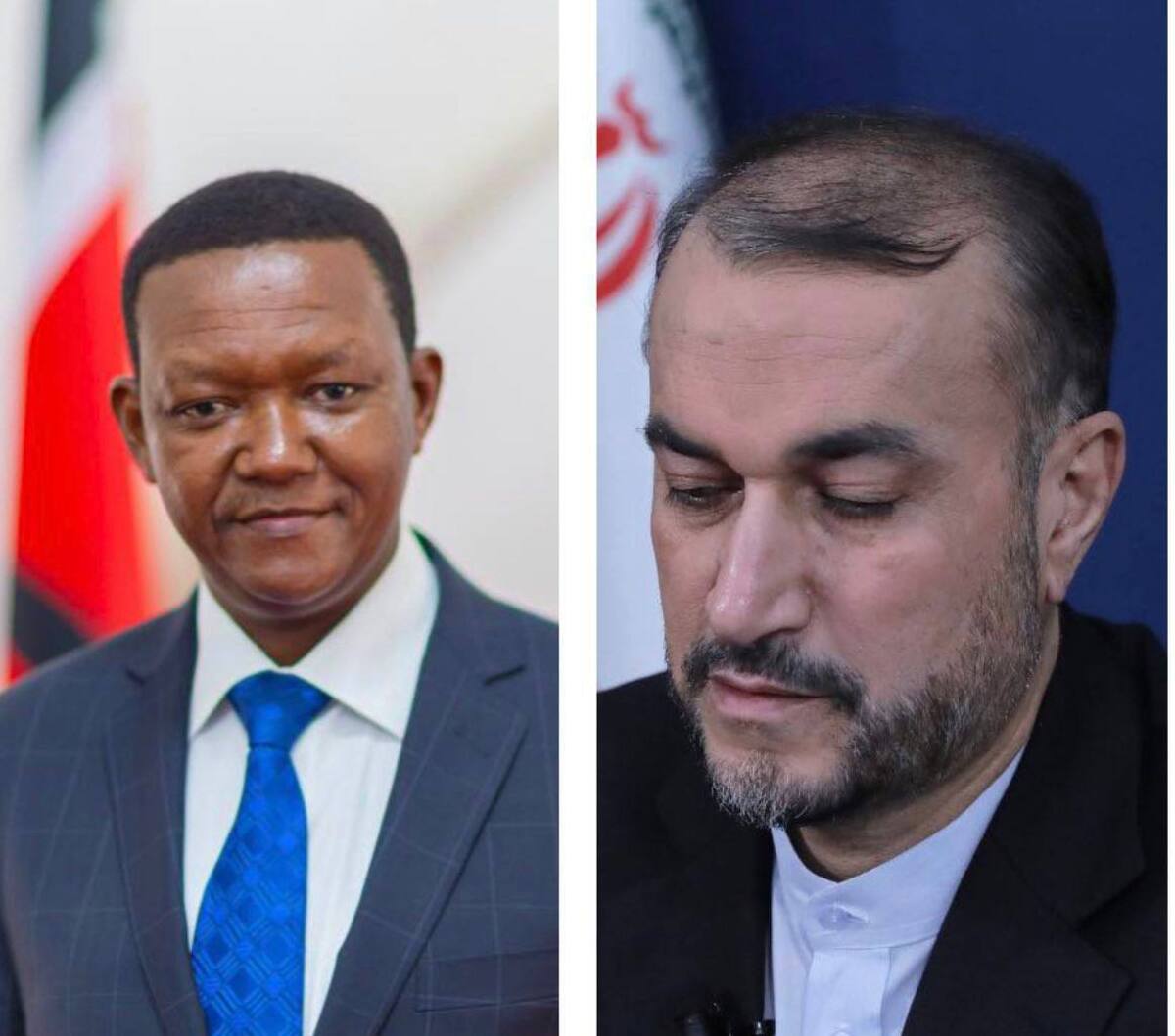 برنامه سفر رئیس‌‎جمهور به کنیا توسط وزرای خارجه ایران و کنیا بررسی شد