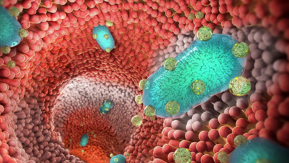 روش جدید درمان التهاب روده به کمک فناوری نانو ابداع شد