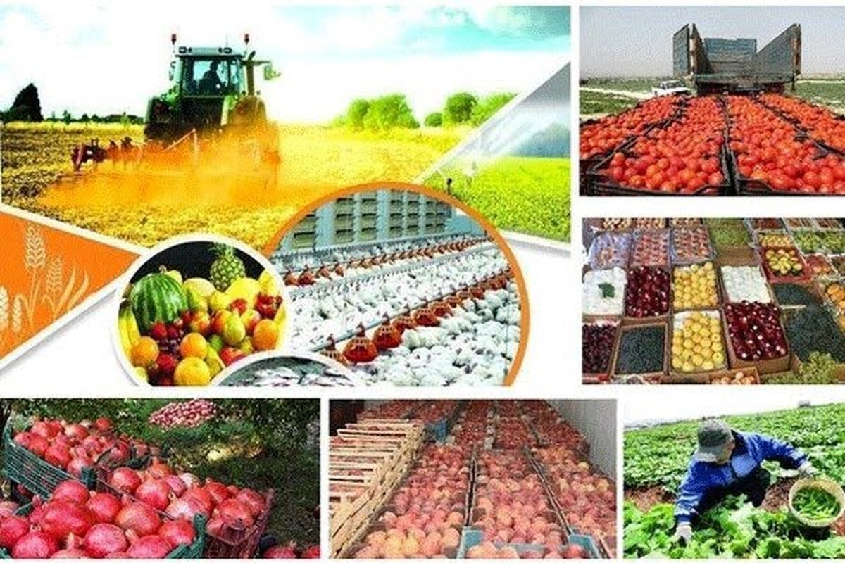 رشد ۱۹درصدی صادرات محصولات کشاورزی و غذایی