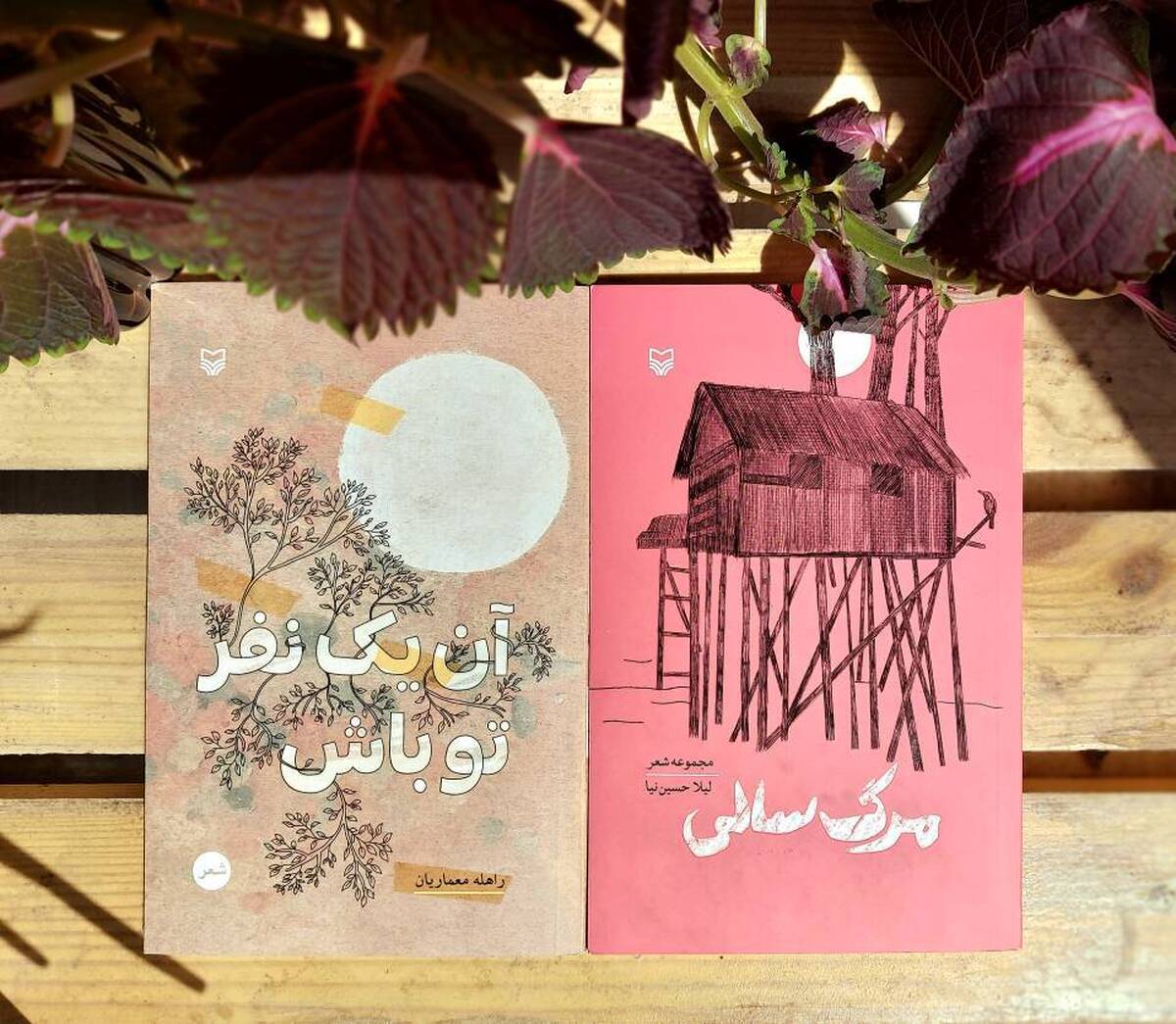 سوره مهر دو دفتر شعر جدید روانه بازار کرد 