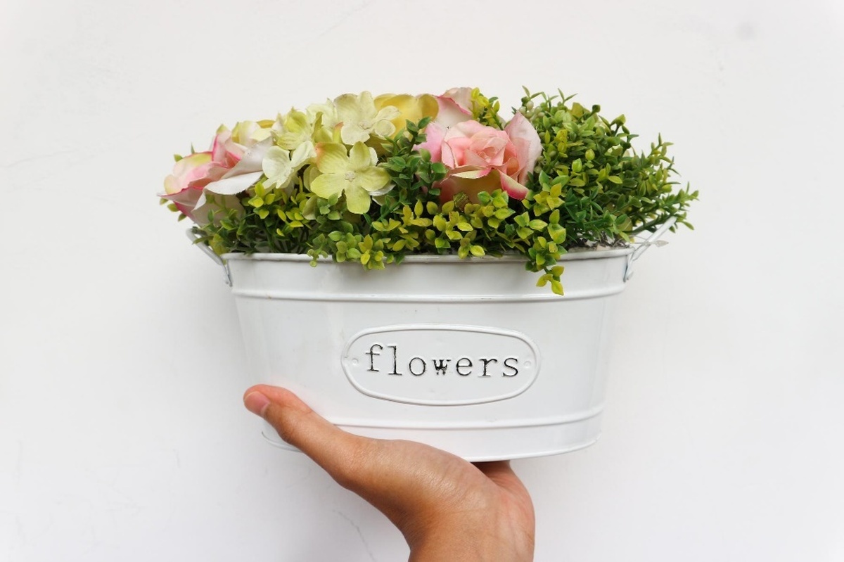 باکس گل تولد خود را از گلمون سفارش دهید