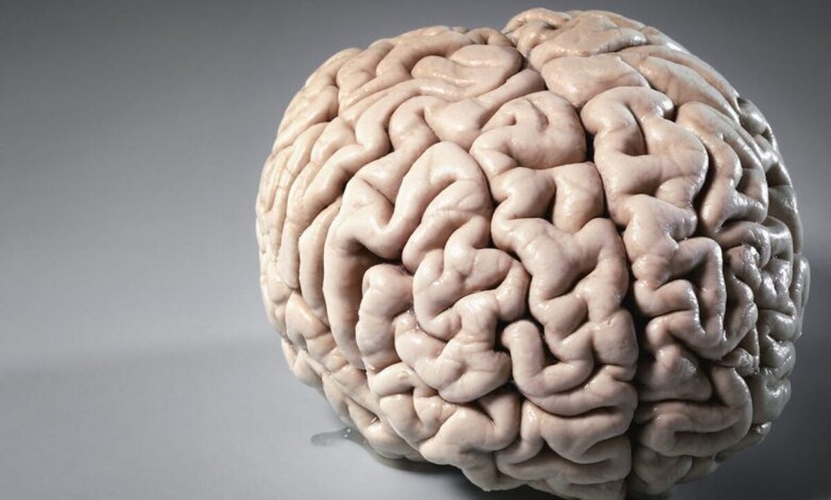 دهمین دوره مسابقه ملی دانش‌آموزی «دانش مغز» در سطح کشور برگزار می‌شود