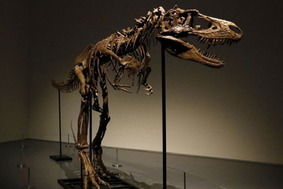 دایناسور‌ها به دلیل گردوغبار از بین رفتند نه شهاب‌سنگ