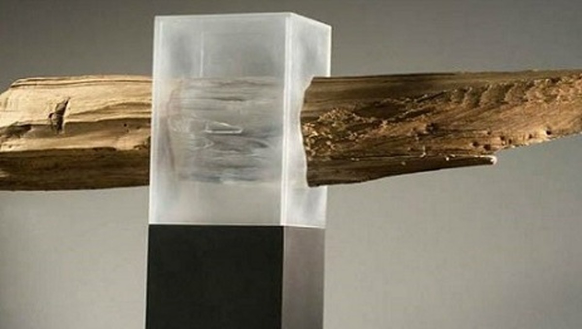 تلاش دانشمندان برای ساخت چوب‌های شفاف