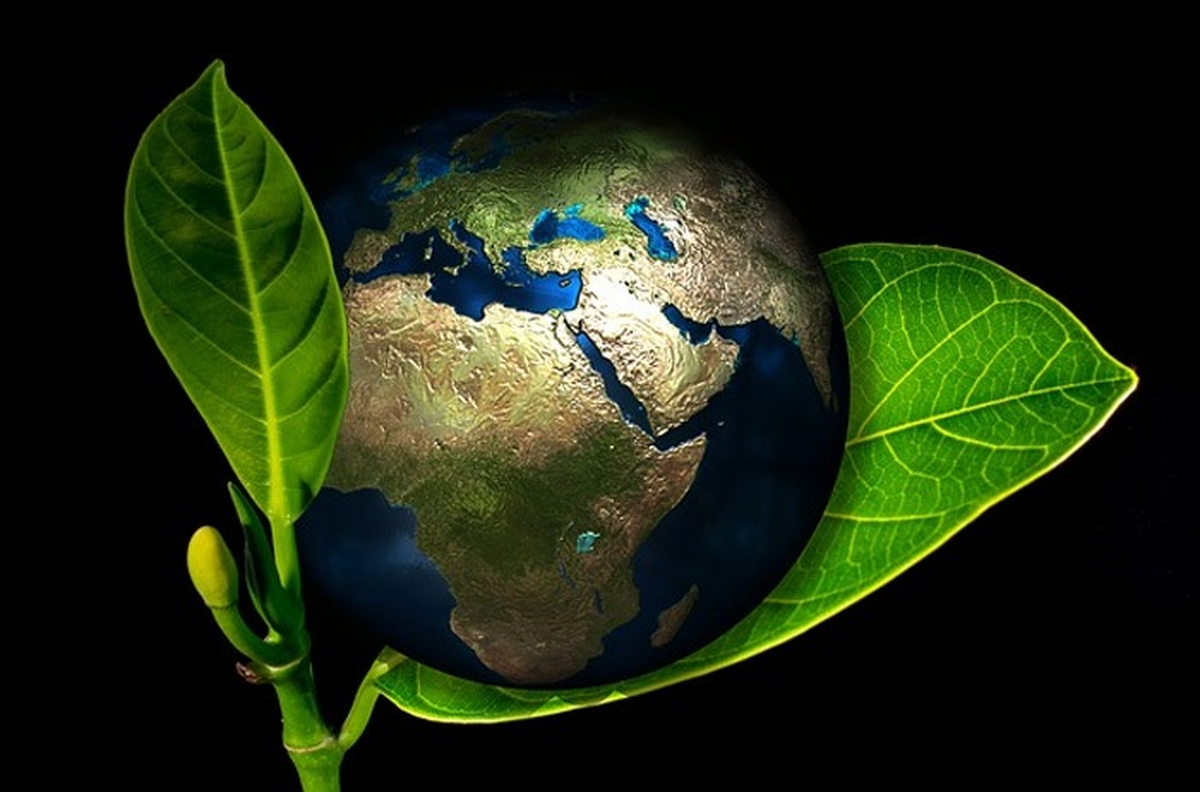 نقش اخلاق و فلسفه محیط زیست در جوامع امروزی