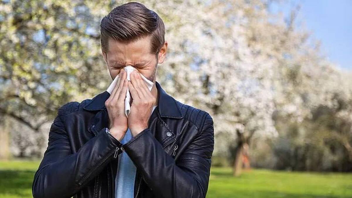 حل مشکلات حساسیت فصلی در بهار/ ارتباط بین آلرژی و سرماخوردگی چیست؟