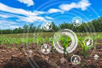 تعداد شرکت‌های فناوری و نوآوری کشاورزی به ۱۰۰۰ خواهد رسید