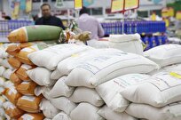 تداوم آرامش و ثبات بازار برنج کشور با حمایت دولت